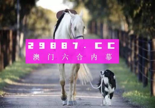 六合圖庫,六合圖庫，探索數(shù)字世界的寶藏