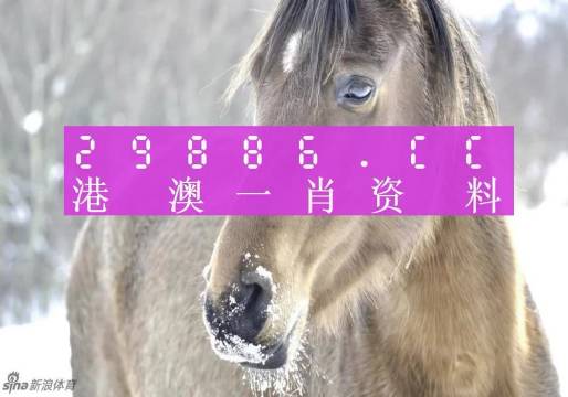 澳門精準(zhǔn)一肖一碼100%,澳門精準(zhǔn)一肖一碼，揭秘預(yù)測背后的秘密與真相（100%準(zhǔn)確預(yù)測？）