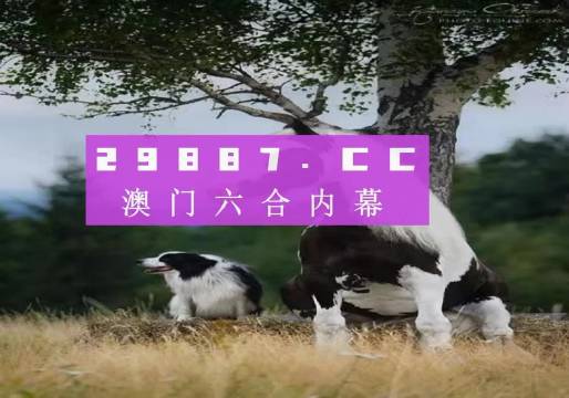 2025正版資料澳門(mén)跑狗圖,探索澳門(mén)跑狗圖的奧秘，2025正版資料解析