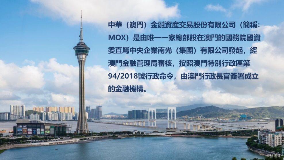 澳門掛牌之免費全篇100,澳門掛牌之免費全篇，探索與揭秘