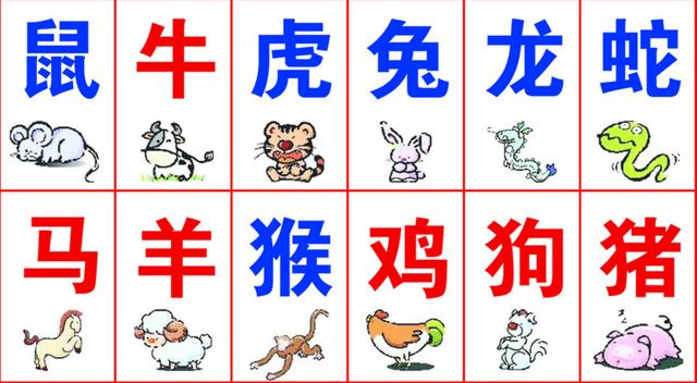 一碼一肖100%精準(zhǔn)生肖第六,一碼一肖，揭秘生肖第六的精準(zhǔn)魅力與奧秘