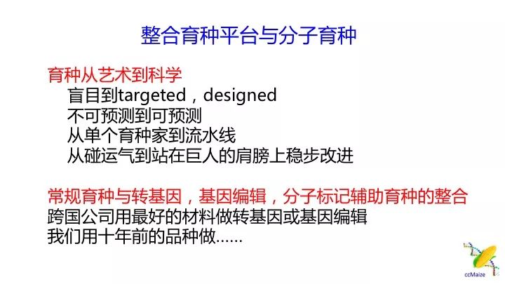 新澳天天彩免費(fèi)資料,新澳天天彩免費(fèi)資料，警惕背后的風(fēng)險與挑戰(zhàn)