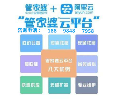 管家婆三期開一期精準(zhǔn)是什么,揭秘管家婆三期開一期精準(zhǔn)，背后的真相與理解