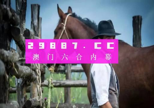2025年2月4日 第17頁