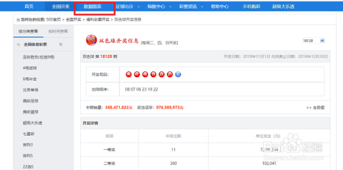 新澳門今晚開獎結果開獎記錄查詢,新澳門今晚開獎結果開獎記錄查詢，探索彩票世界的神秘與機遇