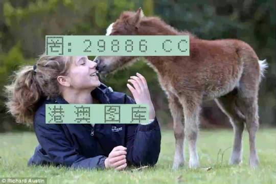 澳門公開一肖一碼,澳門公開一肖一碼，揭秘背后的故事與真相
