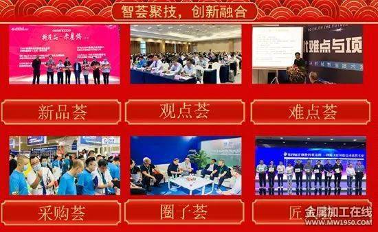 澳門王中王100%期期中一期,澳門王中王100%期期中一期，揭秘彩票背后的秘密與探索成功之道