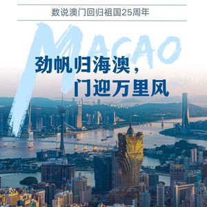 澳門正版精準(zhǔn)免費(fèi)大全,澳門正版精準(zhǔn)免費(fèi)大全，探索澳門的文化與歷史