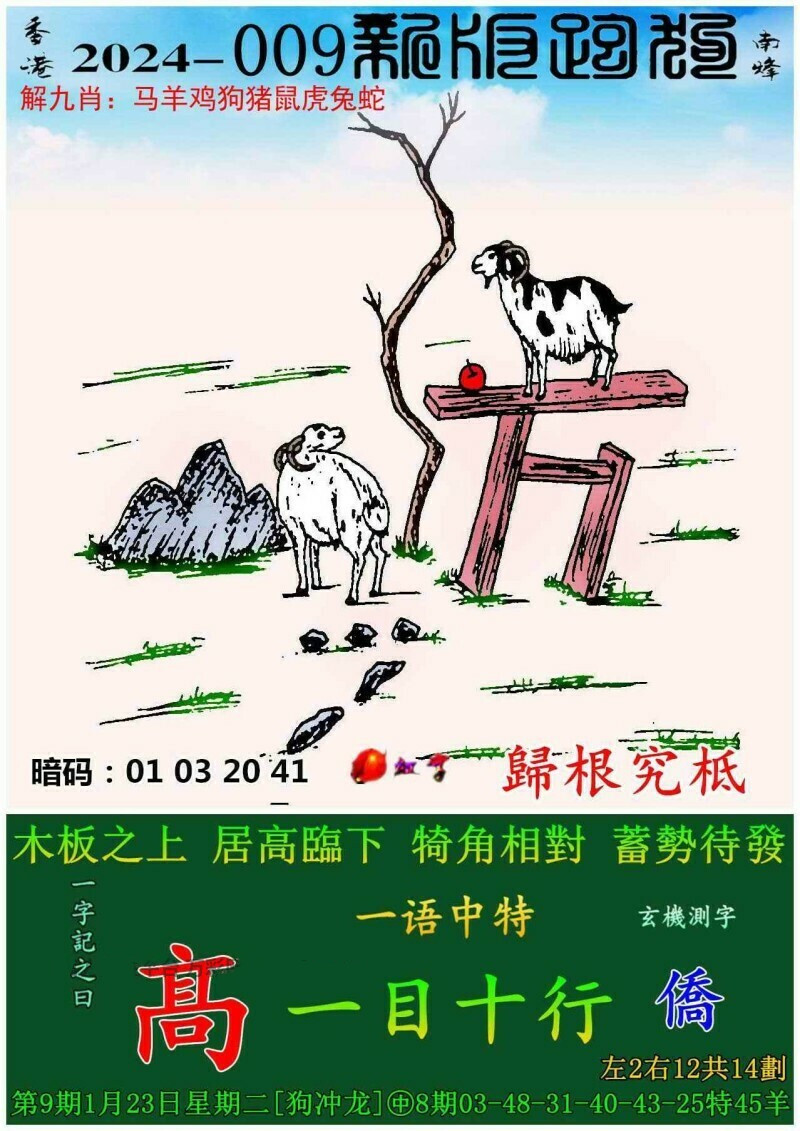 跑狗圖993994www跑狗玄機(jī),跑狗圖993994www跑狗玄機(jī)，探索背后的神秘世界