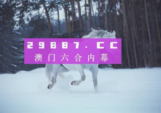 澳門一肖一碼一一子,澳門一肖一碼一一子，探索與解讀