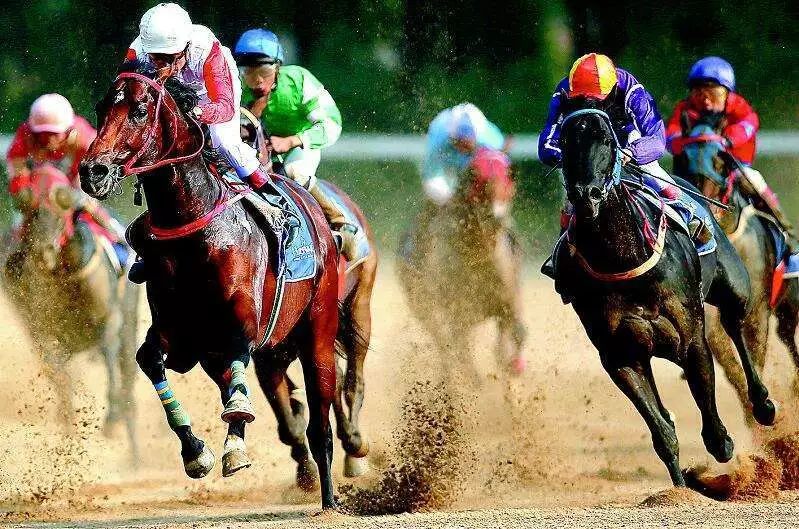 新澳今天開什么特馬,新澳今日賽馬盛況，探尋特馬的風(fēng)采