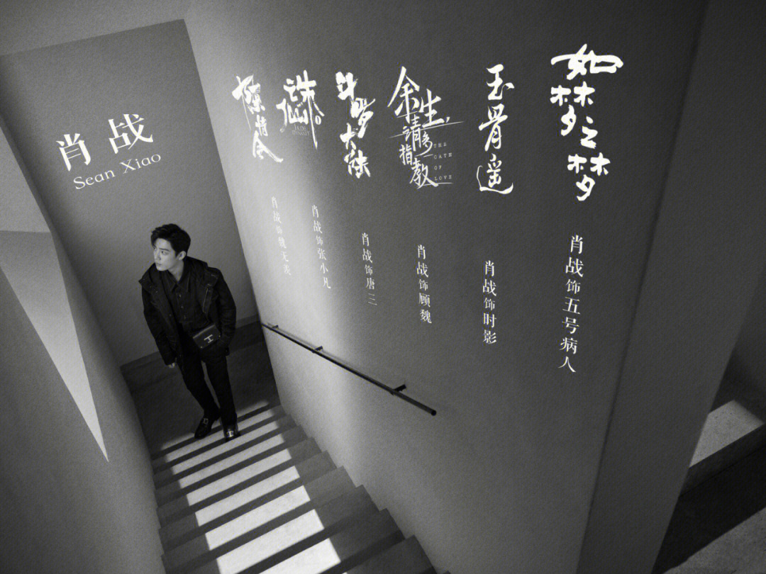 一肖一碼一一肖一子,一肖一碼一一肖一子，探尋背后的神秘與魅力