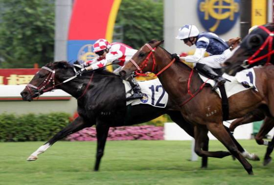 2025今晚香港開(kāi)特馬,香港賽馬盛宴，2025今晚特馬開(kāi)賽盛況展望