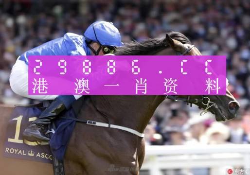 澳門碼的全部免費(fèi)的資料,澳門碼的全部免費(fèi)資料，探索與解讀