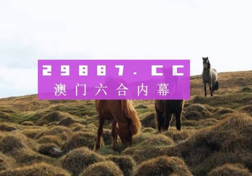 2025澳門特馬開獎(jiǎng)號(hào)碼,澳門特馬開獎(jiǎng)號(hào)碼與未來(lái)的想象