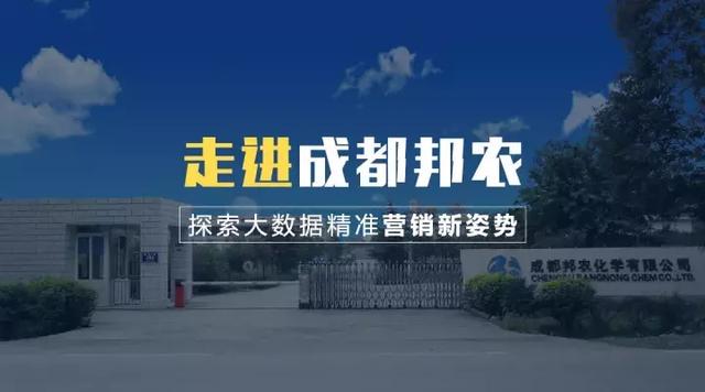 新奧門(mén)資料免費(fèi)精準(zhǔn),新澳門(mén)資料免費(fèi)精準(zhǔn)，探索與解析