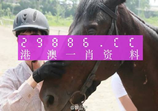 澳門(mén)精準(zhǔn)一肖一碼一碼,澳門(mén)精準(zhǔn)一肖一碼一碼，探索背后的奧秘