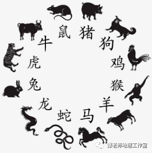 一肖一碼中持一一肖一碼,一肖一碼中持一一肖一碼，探索與理解
