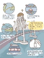 澳門(mén)一肖一碼100精準(zhǔn),公開(kāi),澳門(mén)一肖一碼100精準(zhǔn)，揭示背后的真相與警示公眾
