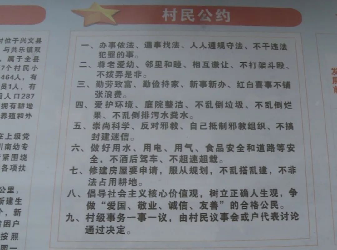 最準(zhǔn)一肖100%準(zhǔn)確精準(zhǔn)的含義,揭秘最準(zhǔn)一肖，探尋百分之百準(zhǔn)確精準(zhǔn)的含義