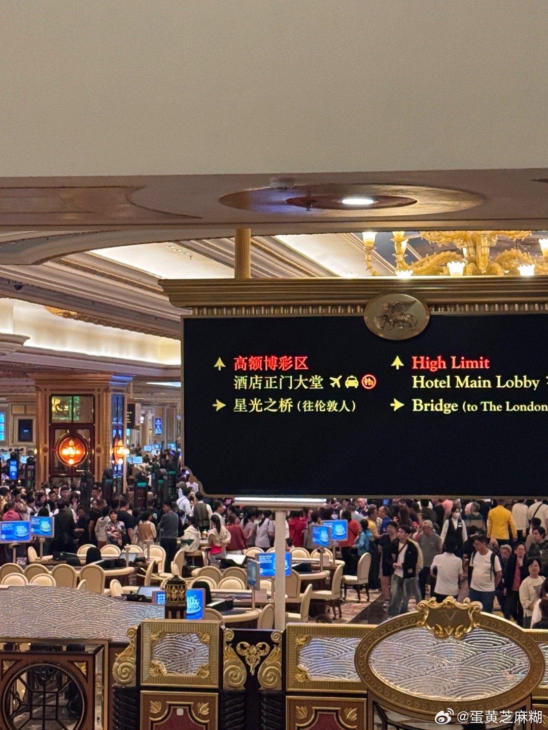 澳門馬會7777788888,澳門馬會，探索與體驗77777與88888的魅力
