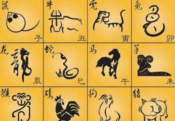 一肖一碼,一肖一碼，探索數(shù)字與生肖的奧秘