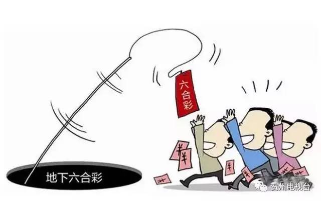 澳門(mén)六合資料,澳門(mén)六合資料，深度解析與探索