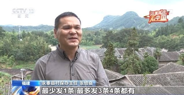 7777788888王中王中恃,探尋王中王背后的故事，數(shù)字密碼與傳奇人物