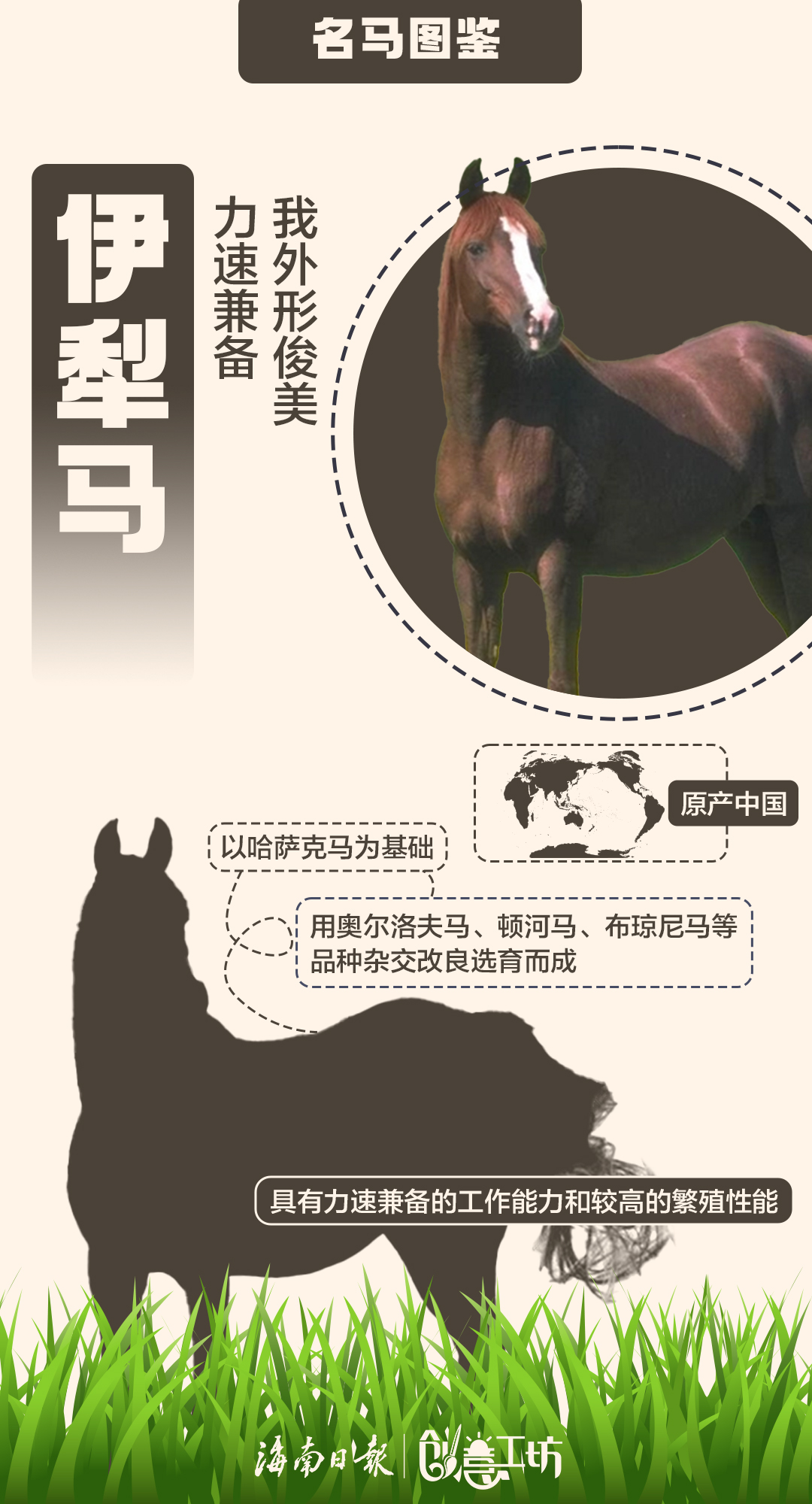 特馬資料,特馬資料，深入了解與運(yùn)用