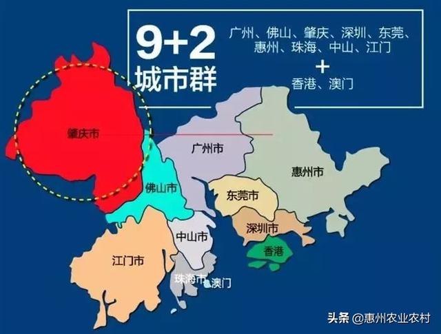 2025年澳門歷史記錄,澳門歷史記錄，走向未來的2025年展望