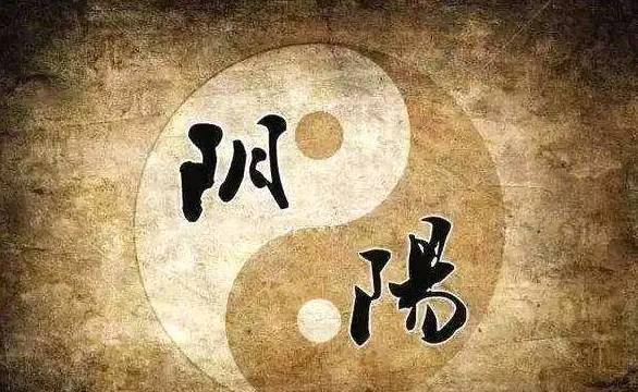 管家婆最準(zhǔn)一碼一肖,管家婆最準(zhǔn)一碼一肖，揭秘神秘預(yù)測(cè)背后的真相