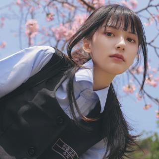 澳門資料大全正版資料2024年免費,澳門資料大全正版資料2024年免費，探索澳門的文化與歷史